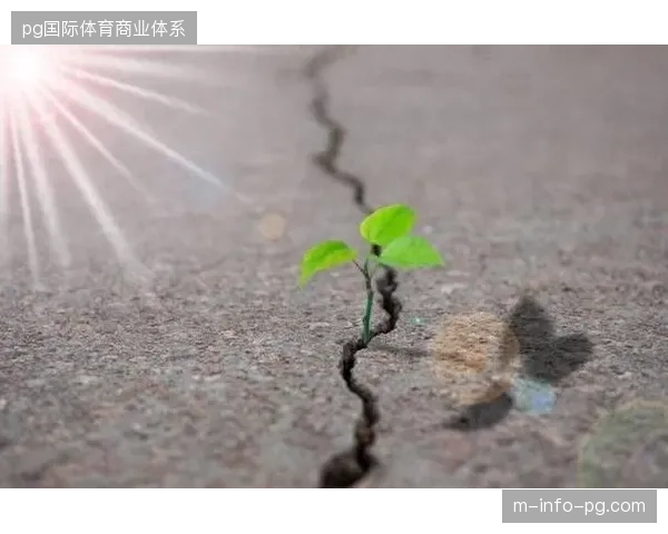 美国队将面临巨大的主场舆论压力，球队在压力下的心理韧性将是晋级之路的关键